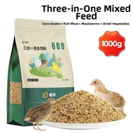 Jiaxun | Special Laying Feed for Budgies Chicks