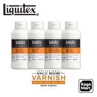 Liquitex Professional Acrylic Varnish Medium Acrylic Paint