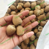 pinang kering utuh bulat 1kg