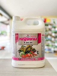 ปุ๋ยน้ำ 4-24-24 ตราหญิงงาม 5 ลิตร ปุ๋ยน้ำฟอสเฟต pH7.5 สะสมอาหาร สร้างตาดอก ใบเขียวเข้มสมบูรณ์ ขยายขน