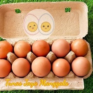 PAPER EGG TRAY 10 Holes/EGG BOX 50 PCS DS10