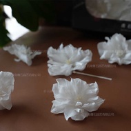 Begonia Preserved Rose Head Ecuador Rose Glass Cover diy Material Earth Farm Style