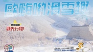 【日本旅遊】日本冬の滑雪趣 4日|粉雪紛飛LISTEL滑雪度假村、新手向華語教練小團教學、百大名山絕美山湖景色、露天溫泉風呂泡湯|台灣虎航・週二郡山進出