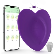 Female Vibrator Sex Toys-Wearable Underwear Vibrator with 10 Vibration Modes, Butterfly Female Nipples Clitoral Stimulation Vibrator Sex Toys, Suitable for Female or Couples (Purple)