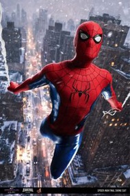收｜Comic Con Hottoys Spider Man 蜘蛛俠
