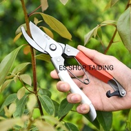 Gunting Dahan / Garden Shears / Heavy Duty Garden Shears / Pruning Shears / Garden Scissors / Garden
