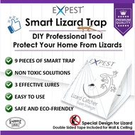 9 Pcs Lizard (Cicak/Gecko) Sticky Smart Trap / Lizard Killer DIY