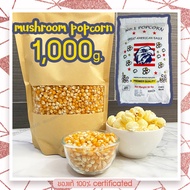 เมล็ดข้าวโพดpopcorn เมล็ดป๊อปคอร์น ข้าวโพดป๊อปคอน ข้าวโพดทำป๊อปคอร์น mushroompopcorn ข้าวโพดมัชรูม ป๊อบคอร์นมัชรูม เมล็ดข้าวโพดมัชรูม ขนาด1000g.