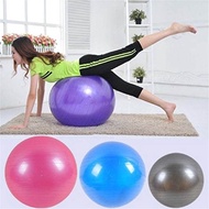 (FREE AIR PUMP) Large Premium Gym Ball Anti-burst Yoga Ball Small Pilates Ball 2 Pack Static Strength Exercise Stability
