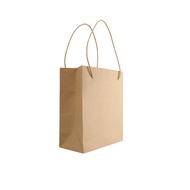 Plain BROWN PAPER BAG/PAPER BAG BROWN CRAFT PAPER PACKING SOUVENIR Small Size 23*7*11 CM