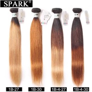 Straight Hair Bundles T1B/27 T1B/4/30 Ombre Color T色发条