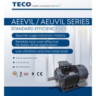 Teco Motor IE1 AEE1VL Squirrel Cage Induction Motor 2HP  1.5 KW 415V 4Pole  IP55 Foot Mounted