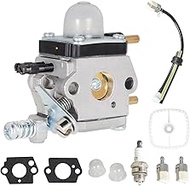 Autoparts Carburetor & Maintenance Kit for Mantis Tiller 7222 7225 SV-5C/2 C1U-K82