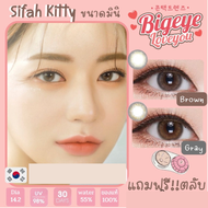 คอนแทคเลนส์🌈Mini Sifah🌈 Brown/Gray (Kitty Kawaii) ขนาดมินิ💖รุ่นใหม่ขายดีจากเกาหลี🍭
