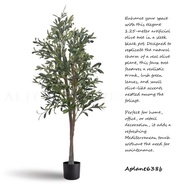 Plant Olive Tree, artificial, home decor, garden Aplant638