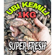 UBI KEMILI 1KG FRESH SUNGGUH / UBI KELIM