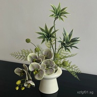 [2.2Ten Thousand People Collection]Spring breeze and gentle weather  Nordic Light Luxury High-End Ha