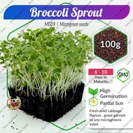 [100g] MG09 Broccoli Sprout Microgreen Soon Huat Seeds