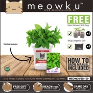 READY STOCK 🐱 Peppermint Seed (Organic Mentha Piperita Pokok Kucing Mint Pet)