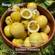 Panama Gold Passion Fruit Seeds - 15 Seed *Pot Friendly* Tanam Pasu Buah Markisa Kuning 巴拿马黄金百香果 - M