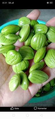 PETAI SIAP KOPEK 100g gred A / PEELED FRESH PEAS