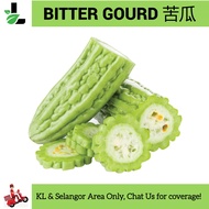 Bitter Gourd 1 to 2pcs ±600gr / 苦瓜 / Peria - Fresh vegetables