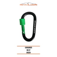 I Carabiner 07