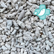 Aquarium Coral Stone 1kg Filter Media Batu Karang.