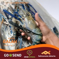 Jual udang Galah Besar Jumbo Gede Fresh 500 gram by Salmonesia