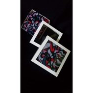 Custom box 12x12x3 white frame