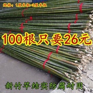 Bamboo Fence Cucumber Garden Bamboo Pole Rack Bean Trellis Outdoor Wholesale Flagpole Climbing Vine 