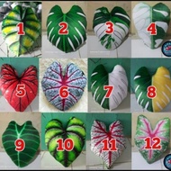 [cod] Bantal sofa unik / Bantal Daun Keladi Motif Daun Janda Bolong