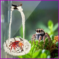 Jumping Spider Bridge 2 Pieces Natural Cotton Rope Handmade Swing Jumping Spider Accessories for Wal