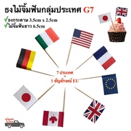 G7 Toothpick Flag Mini Food Embroidery Cake Decoration Cocktail Pick 7 Member Countries And 1 EU Sym