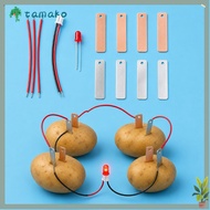 TAMAKO Electricity Experiments Science Kit, Bio Energy STEM Experiment Kit Fruit Battery Science Exp