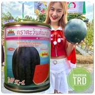 Tin 40g (800 Biji) KINAREE K-1 Advance Seeds Biji Benih Tembikai Madu Merah F1 Hybrid Watermelon See