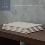 Ceramic Plate-XL Size (20 x 30 cm) Large 20 x 30 cm. For Or Decorate A Beautiful Aquarium