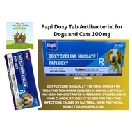 Papi Doxy Tab Antibacterial for Dogs and Cats 100mg