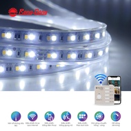 Đèn led dây đổi màu CCT Bluetooth LD01.RF.BLE 1000/7W Chính hãng Rạng Đông Cho dải ánh sáng đẹp Tiết