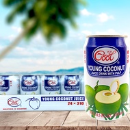 Ice Cool Young Coconut Juice with Pulp 310ml - 24 per pack Halal