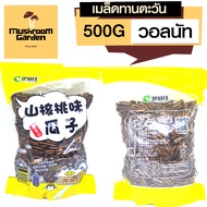 เมล็ดทานตะวันนำเข้าจีน อบรสวอลนัท ขนาด 500 g ตรา Yi shi jia