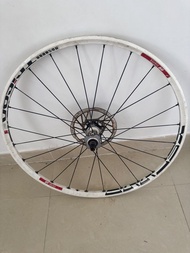 DT SWISS 輪組