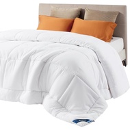 Bedsure Comforter Duvet Insert - Quilted Comforters Queen Size, All Season Duvet, GentleSoft Down Al