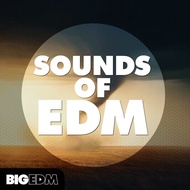 Big EDM Sounds Of EDM 🔰 ProducerLoops *Sample Pack* (Win/Mac)