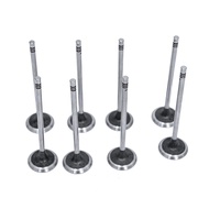 Engine Intake And Exhaust Valve For Peugeot 5008 3008 308 408 508 CITROËN C4 C5 DS3 DS5 Mini R55 R56