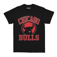 Chicago Bulls PDIP Bulls T-shirt | Parody T-shirts