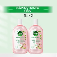 Dettol(เดทตอล) | น้ำยาซักผ้าฆ่าเชื้อที่มีกลิ่นหอมยาวนาน จากพืช