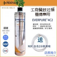 愛惠浦 - Pentair Everpure 4C2 濾水芯替換濾芯 x1 兼容H104 H-104 PBS400 PBS-400