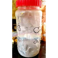 59灵巫师巨多"kuhui"早期路过古曼童kumanthonglukok