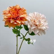Dahlia Artificial Flower Dahlia Single Dahlia Flower Pattern Room Home Entrance Flower Arrangement P